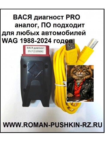 ВАСЯ диагност PRO  аналог