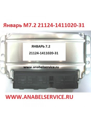 Январь Январь М7.2 21124-1411020-31  